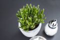 Designing Health Care Office Space: Helping Patients Feel Relaxed