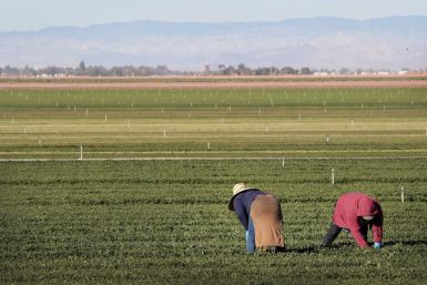 Farm Workers