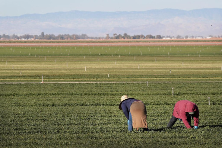Farm Workers