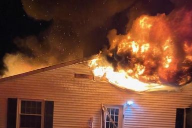 Rescue dogs die in fire