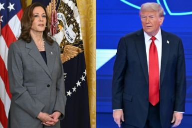US Vice President Kamala Harris and former president Donald Trump are making closing pitches to voters in one of America's most divisive electoral fights