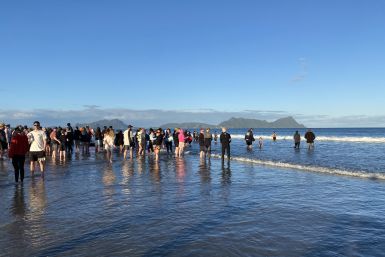 Whale rescuers
